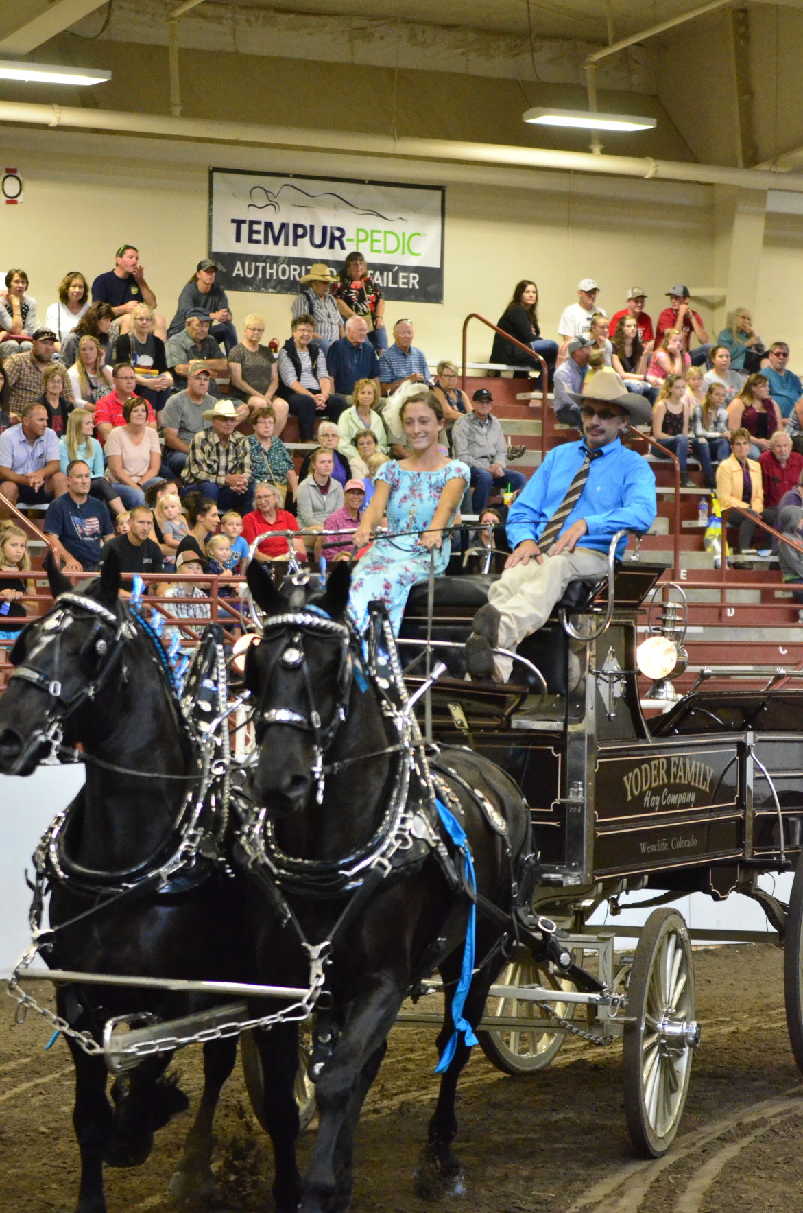 8-25-19 Draft Horse Hitch Final (55).JPG